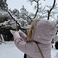 可能是雪球的圖像