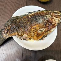 未提供相片說明。