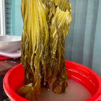 可能是苔蘚蟲的圖像