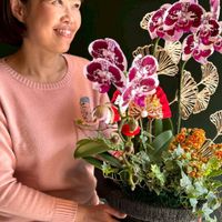 可能是萬代蘭屬、露薇花屬和顯示的文字是「 LENRO 」的圖像