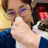 可能是貓的圖像