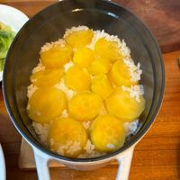 可能是食物的圖像