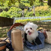 未提供相片說明。