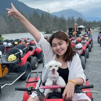 可能是全地形車的圖像