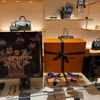 可能是顯示的文字是「 N Urrme LOUIS LOUISVUITION VUITTON 2 水快」的圖像