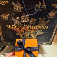 可能是顯示的文字是「 X3 8 LOUIS LOUISVUITTON VUITTON TON 100 LOUIS LOUISVUITIC VUITIO SVUITTON SVUITTON TON LOUISV OUIS S VU UI UITTON LOUIS VUITTO 」的圖像