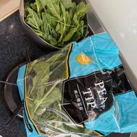 可能是莙薘菜和綠葉甘藍的圖像