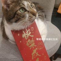 可能是顯示的文字是「快 嘟嘟當的專屬紅包袋」的圖像
