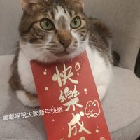 可能是文字的圖像