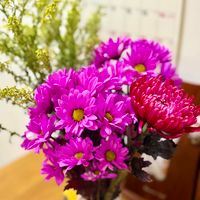 可能是花的圖像