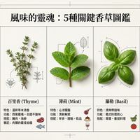 可能是紫蘇和文字的圖像