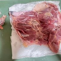 未提供相片說明。