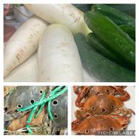 可能是‎顯示的文字是「 ‎با PIC.COLLAGE‎ 」‎的圖像