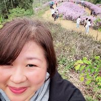 可能是花的圖像