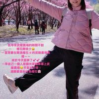 可能是文字的圖像