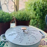 可能是顯示的文字是「 JIS ニララ STIDR STAUB 」的圖像