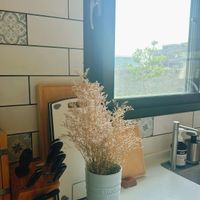 可能是滿天星的圖像