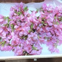 可能是花的圖像