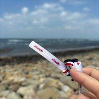 可能是魚鉤和顯示的文字是「 staub staubb staub staub 」的圖像