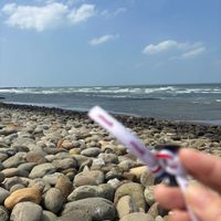 可能是海洋的圖像