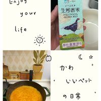 可能是粥、豆腐和文字的圖像