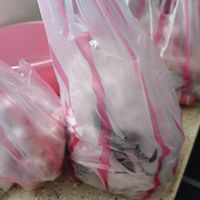 未提供相片說明。