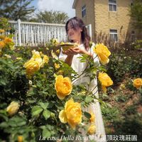 可能是花和文字的圖像