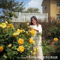 可能是牡丹、洋桔梗和文字的圖像