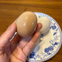 可能是食物的圖像