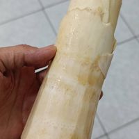 未提供相片說明。