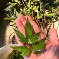 未提供相片說明。