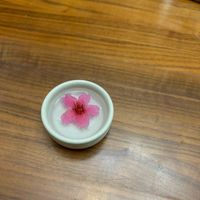 可能是花的圖像