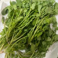 可能是食物的圖像