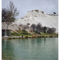 可能是天鵝、鵝和湖泊的圖像