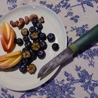 可能是無花果、刀和蘋果的圖像