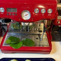 可能是研磨機、泡茶器、咖啡機、矢車菊和文字的圖像