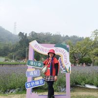 可能是頭狀薰衣草和文字的圖像