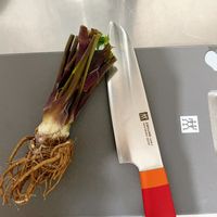 可能是刀的圖像