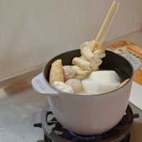 可能是豆腐、拉麵、起司火鍋、粥和火鍋的圖像