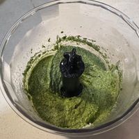可能是水藻的圖像
