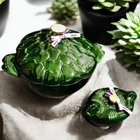 可能是烏龜和餐巾環的圖像