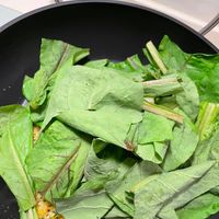 可能是綠葉甘藍和莙薘菜的圖像