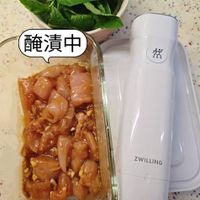可能是顯示的文字是「醃漬中 芸 ZWILLING 」的圖像