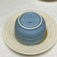 可能是顯示的文字是「 STAUB 52JF15 」的圖像