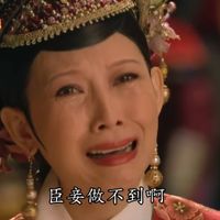 可能是顯示的文字是「修甄環傳 臣安做不到啊」的圖像