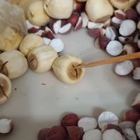 可能是馬勃菇、龍眼和蘑菇的圖像