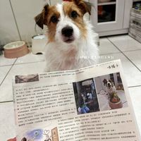 可能是文字的圖像
