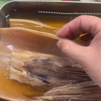 可能是鯷魚的圖像