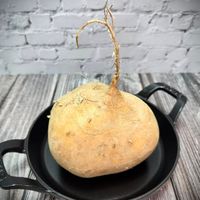 可能是法式長棍麵包的圖像