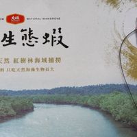 可能是顯示的文字是「 FRESH SHRIMP HESWSHWPFROMUALHANGRE FRESHSHRIMPFRO FROM 大成 DaChon NATURALMANGROVE NATURAL MANGROVE 根岛生態蝦 4 710151 1 草蝦（大成）- 美味來自天然 美味來自天然紅樹林海域補境 紅樹林海域捕撈 不吃人工飼料只吃天然飾藻生物長大 飼料只吃天然海藻生物長大 不吃人工飼料」的圖像